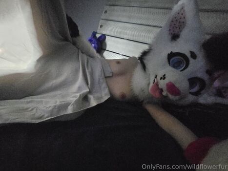 Full leaked Wildflowerfur private onlyfans photo